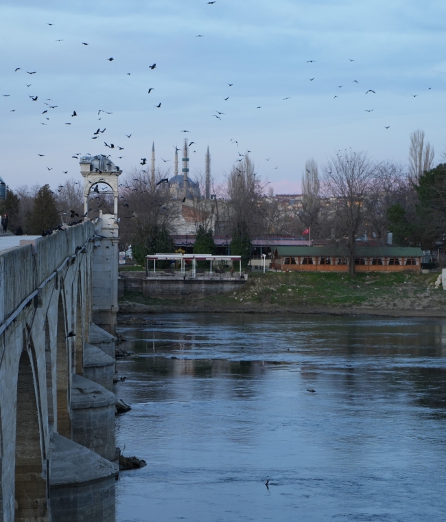 Yağışlar hem çiftçiye hem de Meriç Nehri’ne yaradı