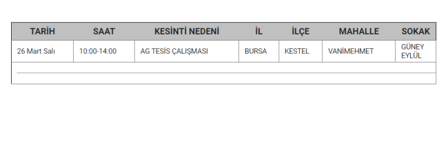 Bursa'da planlı elektrik kesintisi olacak!