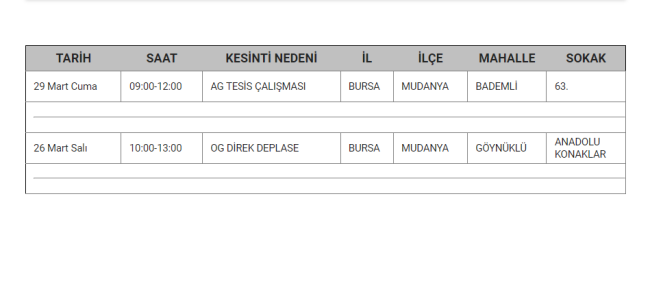 Bursa'da planlı elektrik kesintisi olacak!