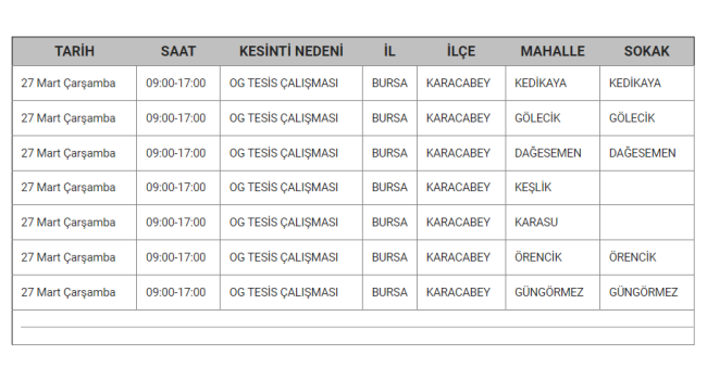 Bursa'da planlı elektrik kesintisi olacak!