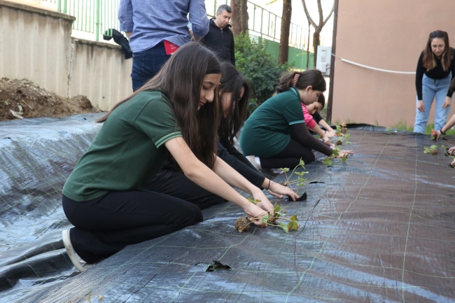 Bursa'da öğrenciler çilek ve marul dikerek tarımla tanıştılar