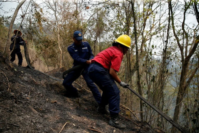 Venezuela, rekor sayıdaki orman yangınlarıyla mücadele ediyor