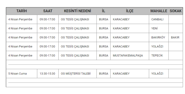 Bursa'da planlı elektrik kesintisi olacak!