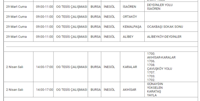Bursa'da planlı elektrik kesintisi olacak!