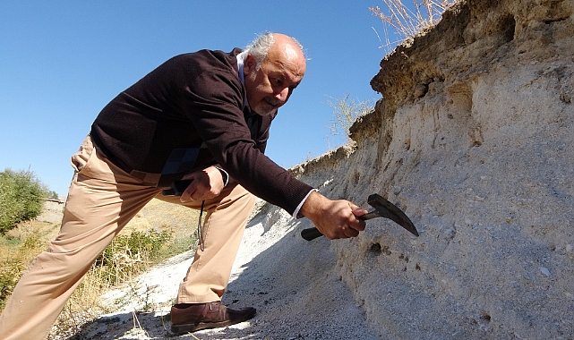 12 milyon yıllık olduğu düşünülen deniz canlıları fosiline rastlandı