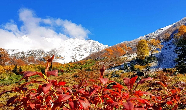 Sonbahar ve kış bir arada