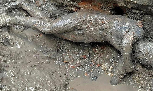 Tarih yeniden yazılacak: 2 bin 300 yıllık keşif