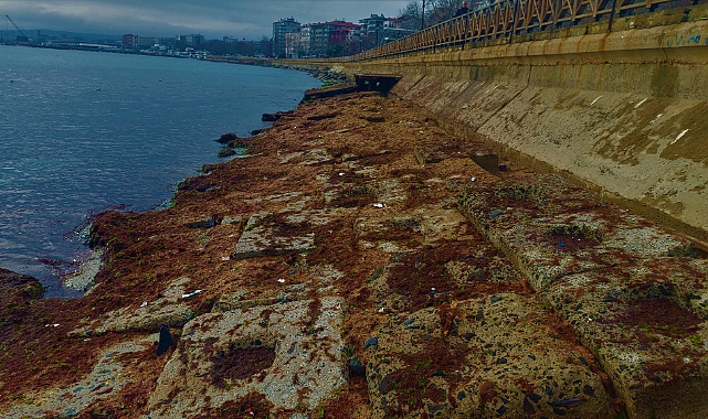 Tekirdağ sahilleri kızıla boyandı!