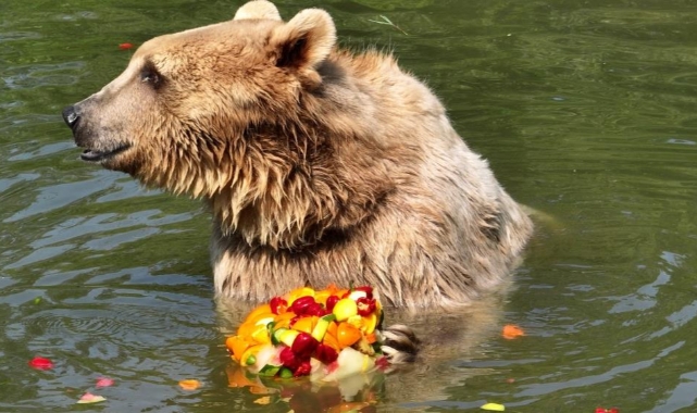 Zoopark'ta 40 derece sıcakta buzlu meyve keyfi