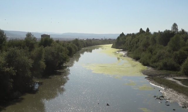 Karasu Nehri yeşile döndü