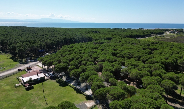 Tabiat harikası Çarşamba Orman Park hayran bırakıyor