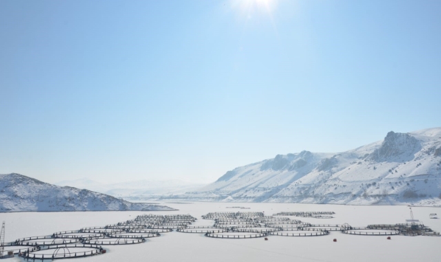 Erzincan'da soğuk havanın etkisiyle barajlar dondu