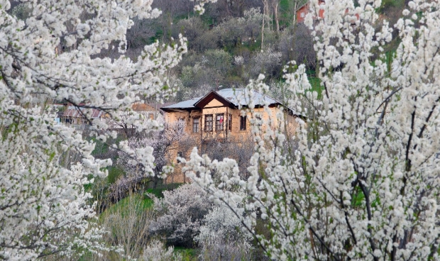 Tarihi mahallede bahar güzelliği