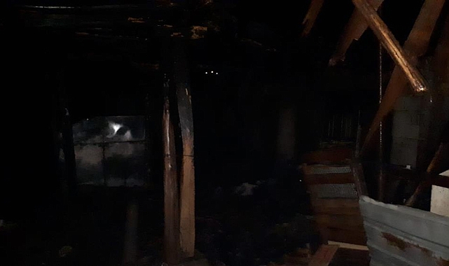 Ağıl yangını: Koyunlar telef oldu