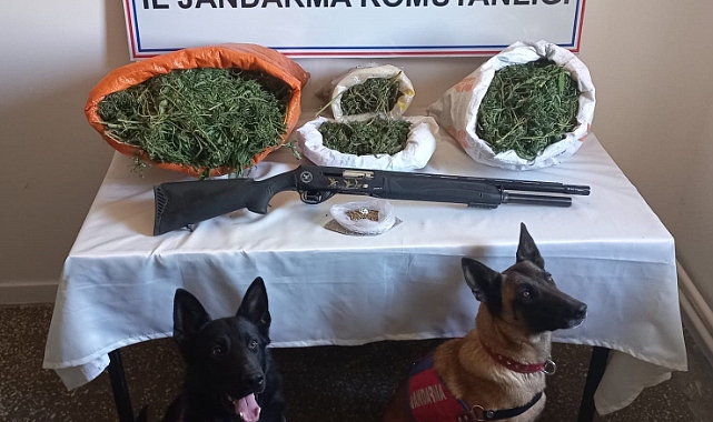 Ağrı’da 15 kilo esrar ele geçirildi