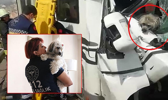 Ambulans hemşiresi, kaza yapan Çekyalı çiftin köpeğine sahip çıktı