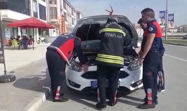 Aracın motoruna sıkışan yavru kediyi itfaiye kurtardı