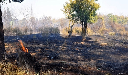 Bahçesinde çıkan yangını söndürürken kalp krizi geçirdi