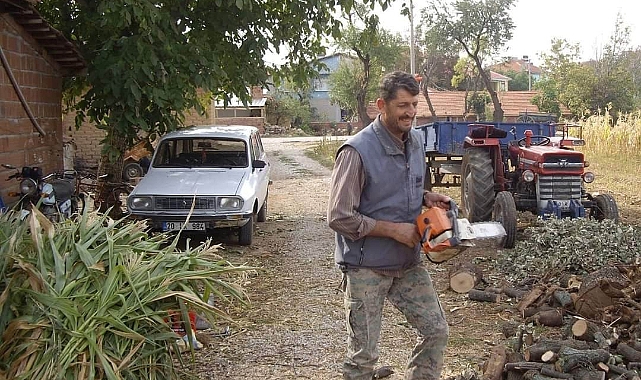 Başına çarpan ağaç sonu oldu