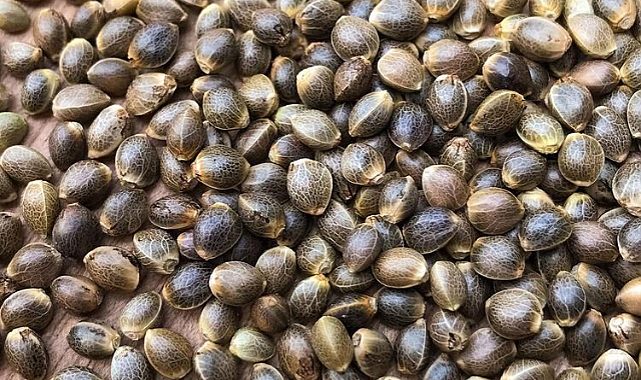 Bel ağrısını anında kesen en doğal yöntem