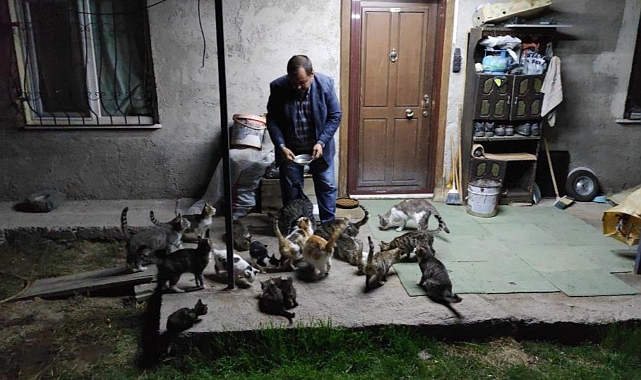 Beslediği yaralı kedilerin tedavilerini de üstleniyor