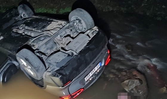 Bingöl'de otomobil köprüden dereye düştü