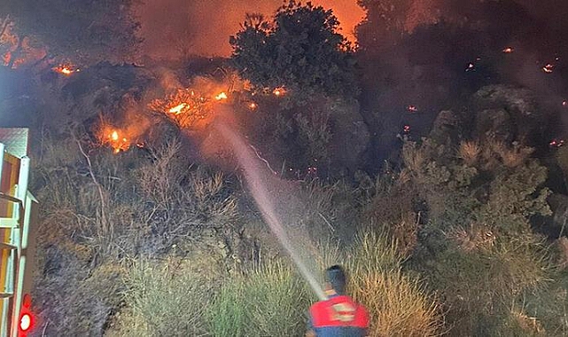 Bodrum'da makilik yangını