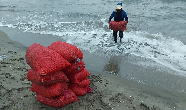 Bursa'da 2 ton kaçak midye ele geçirildi