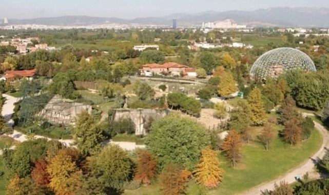 Bursa'da Hayvanat Bahçesi'ne girişler bugün ücretsiz