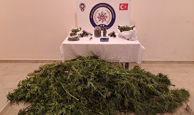 Bursa'da kenevir tarlasına dönen eve baskın