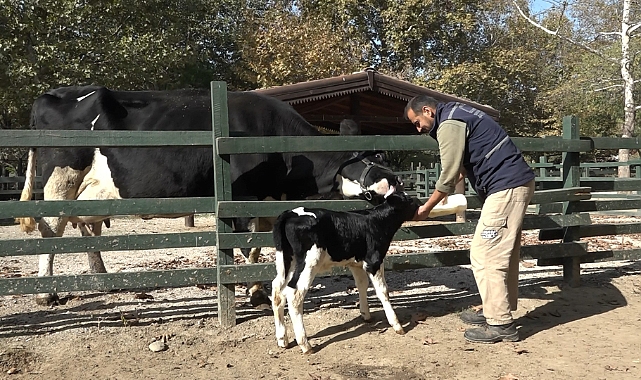 Bursa Zoo’nun yeni üyesinin ismini hayvanseverler koydu