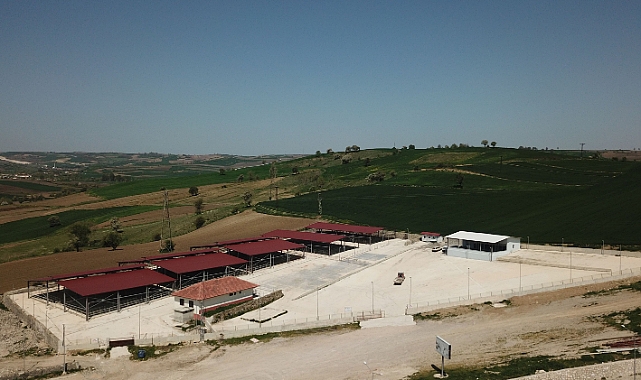 Canlı hayvan pazarı süresiz olarak kapatıldı