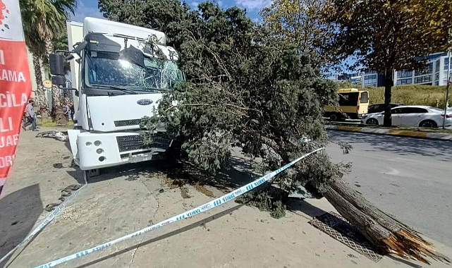 Freni boşalan kamyonet dehşet saçtı