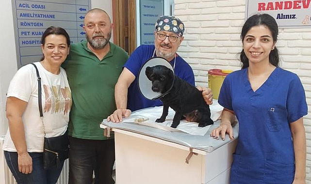 Görülmemiş olay: Köpeğin midesinden çıkanlar şoke etti