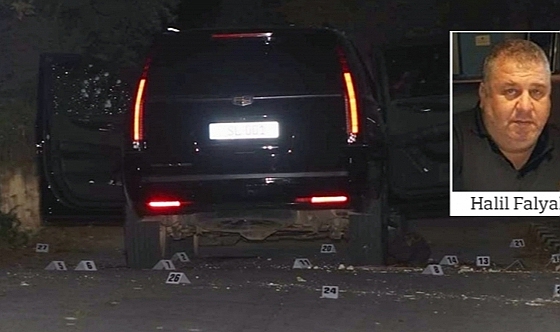 Halil Falyalı ve Murat Demirtaş cinayeti davası ertelendi