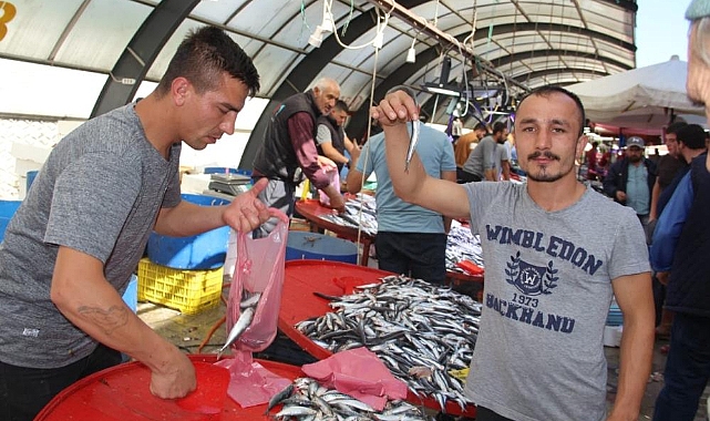 Hamsi, balık tezgahlarını süsledi