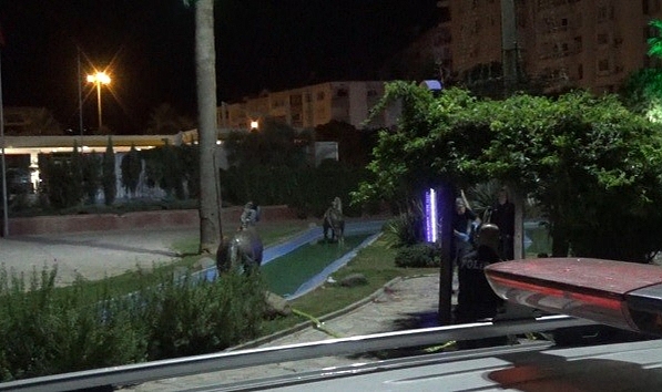 İki grup arasında köpek kavgası