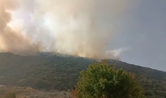 Kaş'ta çıkan orman yangınına müdahale sürüyor