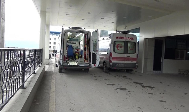 Kestane toplarken ayı saldırısına uğradı!