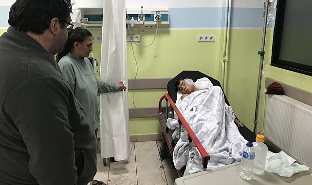 Köpek sürüsü 12 yaşındaki çocuğa saldırdı
