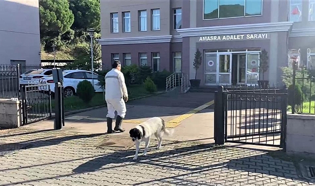 Maden faciası soruşturmasında ifadeler alınmaya devam ediyor