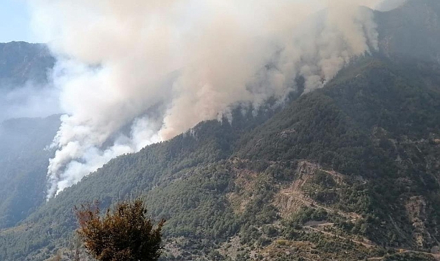 Osmaniye'deki orman yangını 3'ncü günü: Büyüyerek devam ediyor