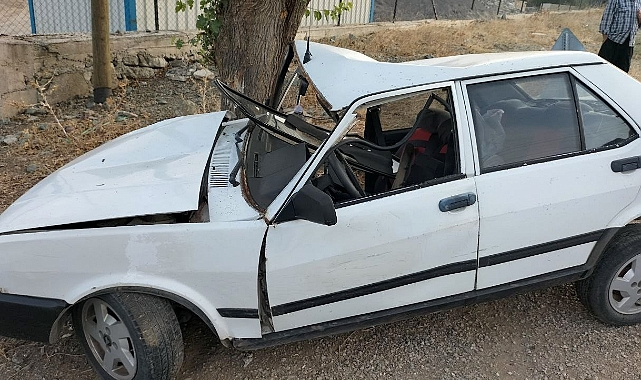 Otomobil hızını alamayınca ağaca çarptı