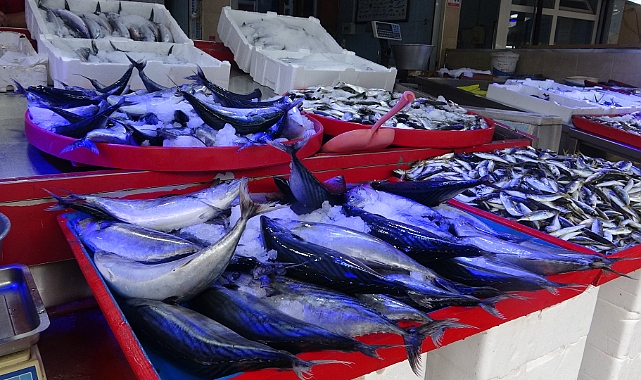 Palamut bolluğu, etiket fiyatları etkiliyor