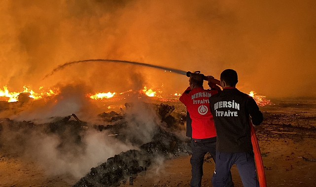 Palet fabrikasında korkutan yangın