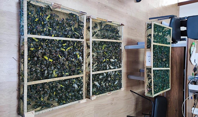 Sınır kapasında 900 saka kuşu ele geçirildi