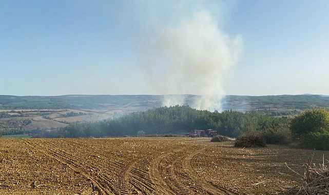 Tekirdağ'da korkutan yangın