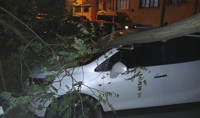 Trabzon’da şiddetli rüzgar etkili oldu