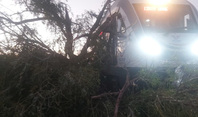 Tren raylarına ağaç devrildi