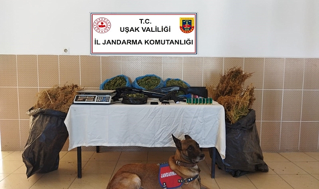 Uşak'ta 7 kilo esrar ele geçirildi